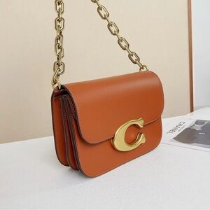 The COACH Crossbody Bag in Burnished Amber